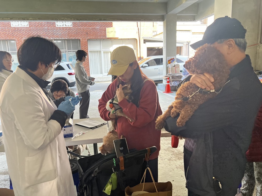 남구, 2026년 상반기 반려동물 광견병 무료 예방접종 실시