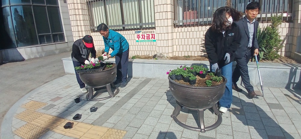 벽진면, 새봄 맞아 면소재지 일원에 봄꽃 식재
