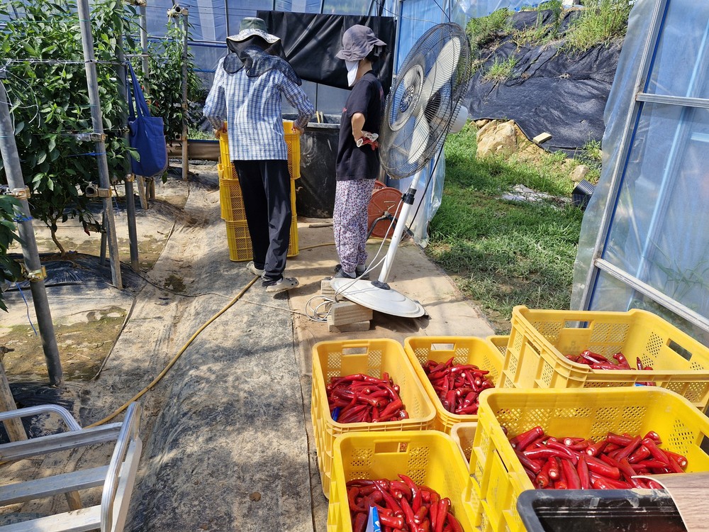 귀농, 살아보고 결정하세요! ‘거창군, 농촌에서 살아보기 참가자 모집’