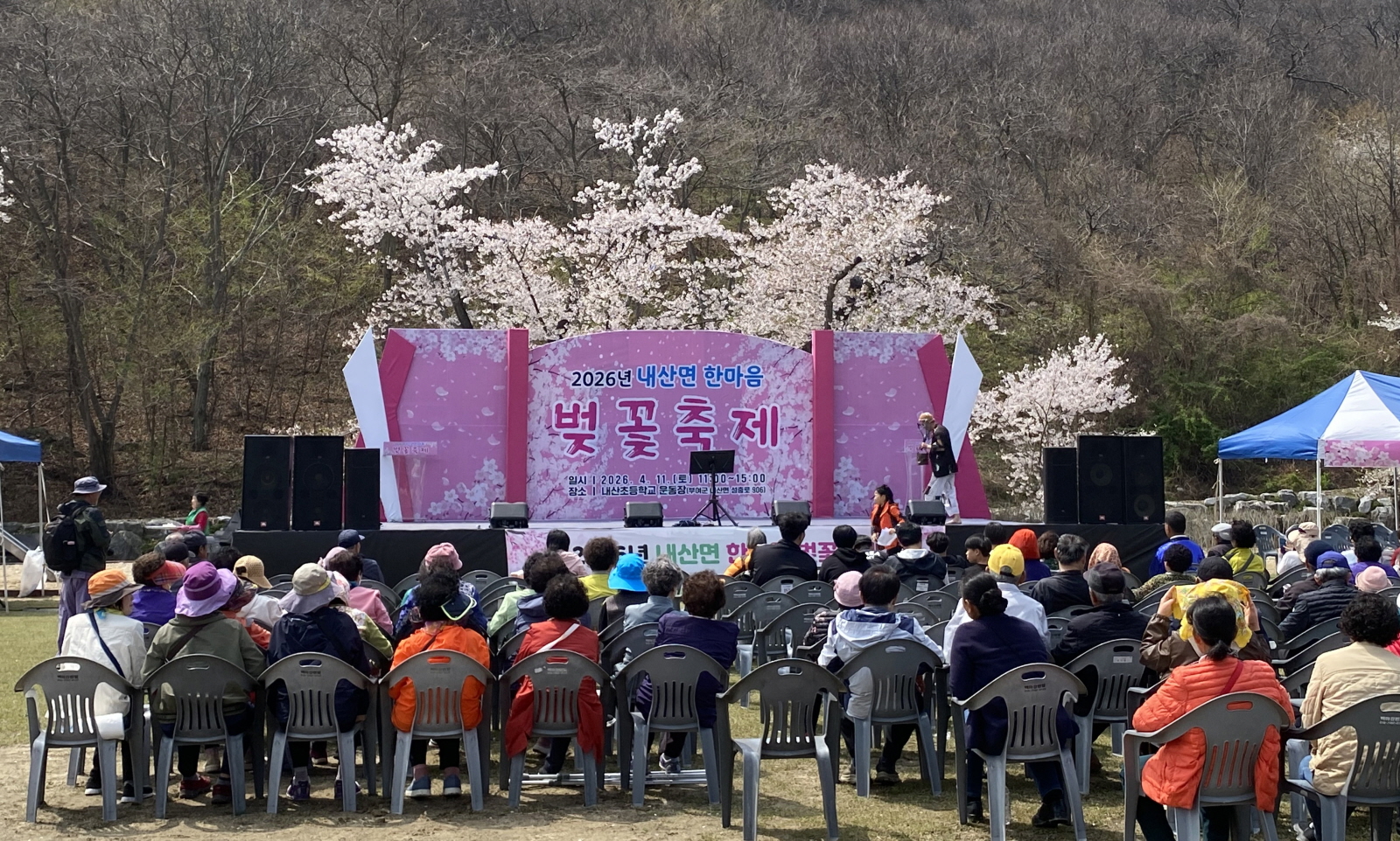 벚꽃 물든 내산에서 하나 되는 한마음 축제