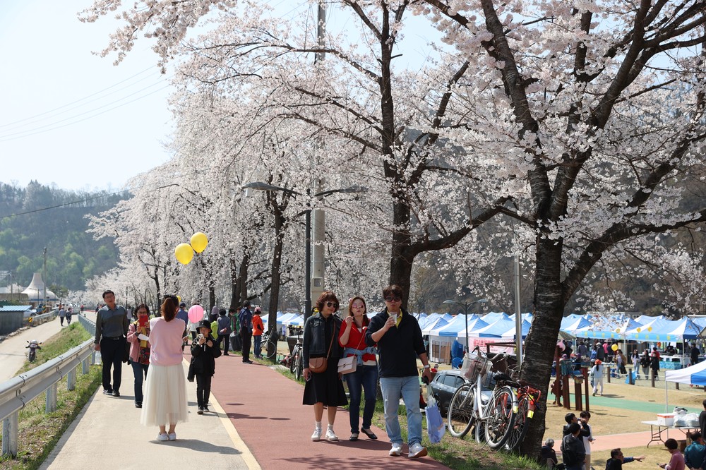 의성군, ‘제4회 남대천 벚꽃축제’ 성황리 마무리