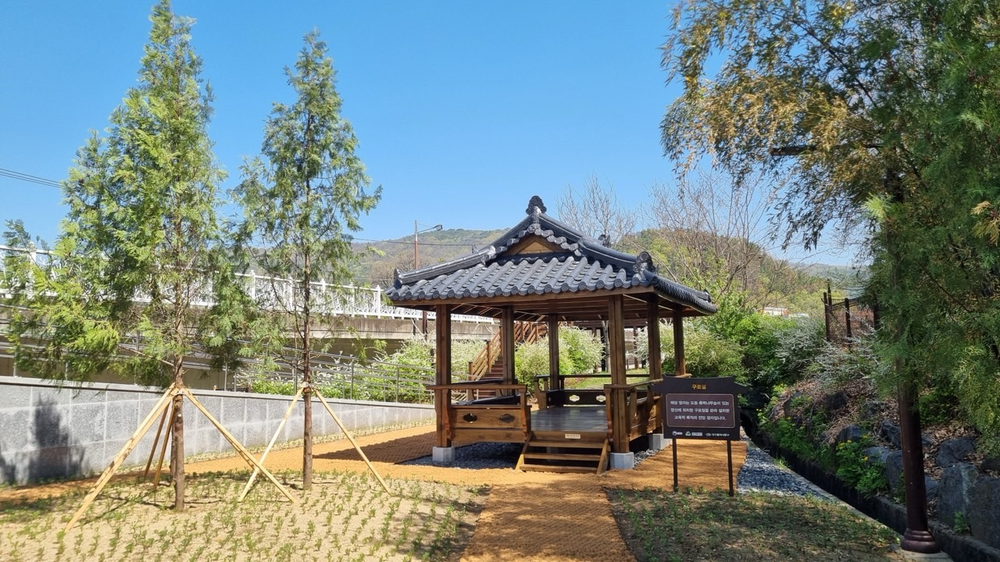 대구 동구, 도동 측백나무숲 산림생태복원사업 완료