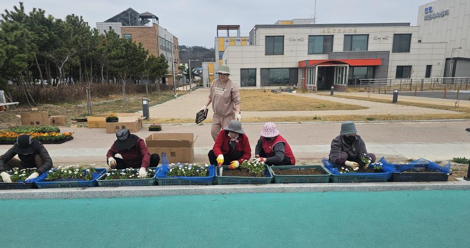연평면 주민자치회, ‘함상길에 피는 기억의 꽃길 만들기’ 사업 추진