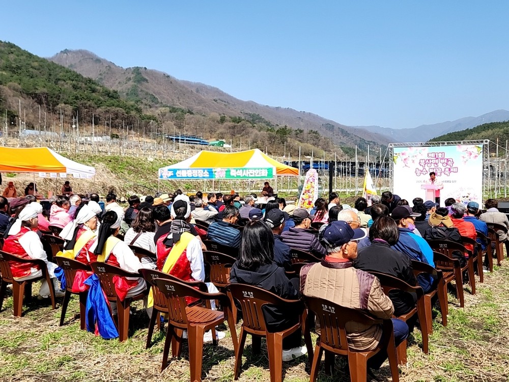 북상면, 제1회 병곡 능수벚꽃 축제 개최