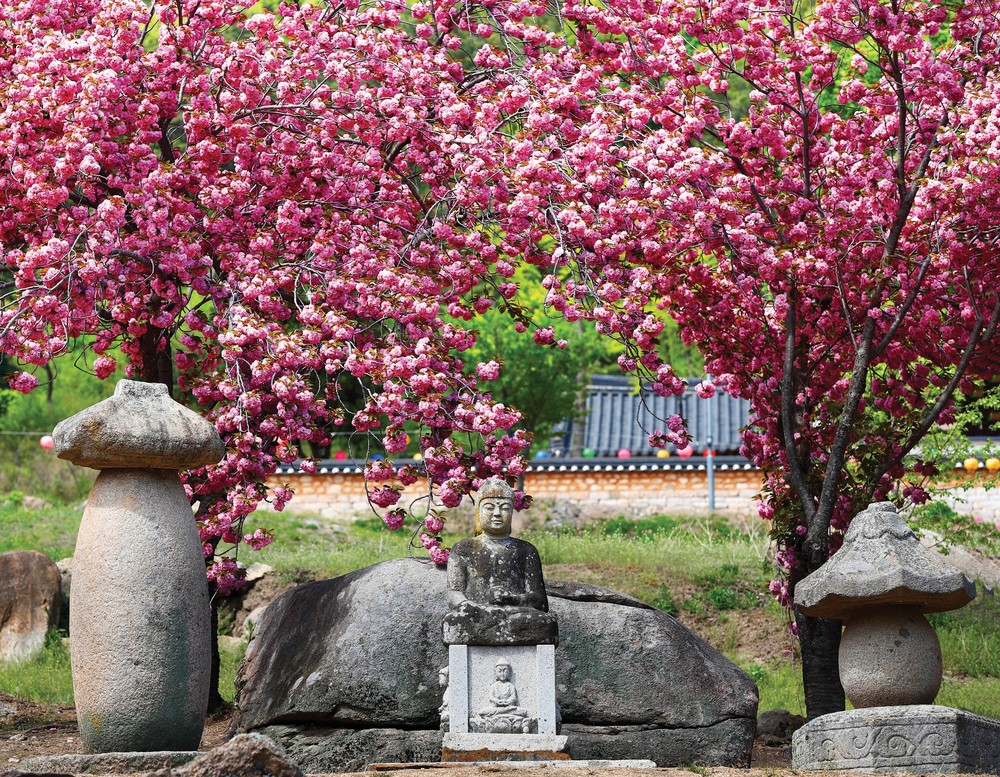 하양 환성사, 겹벚꽃 힐링 0.5 경산 관광