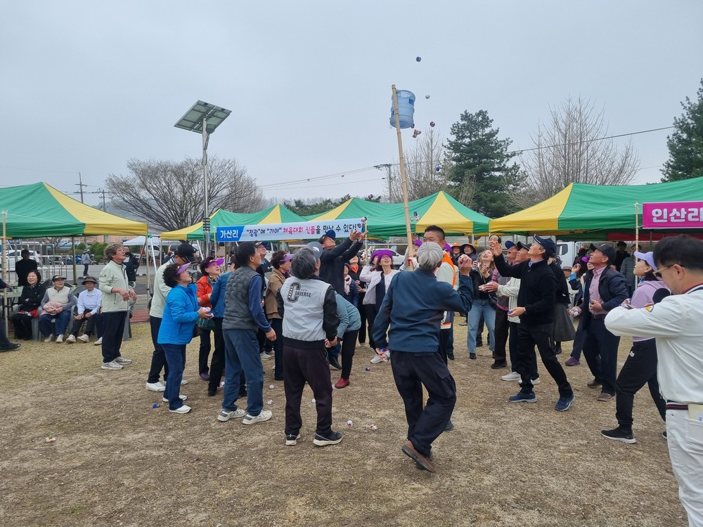 금마면민체육대회 성황…면민 1,200명 화합의 장