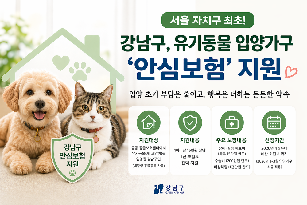 강남구, 서울 자치구 최초 유기동물 입양가구 ‘안심보험’ 지원