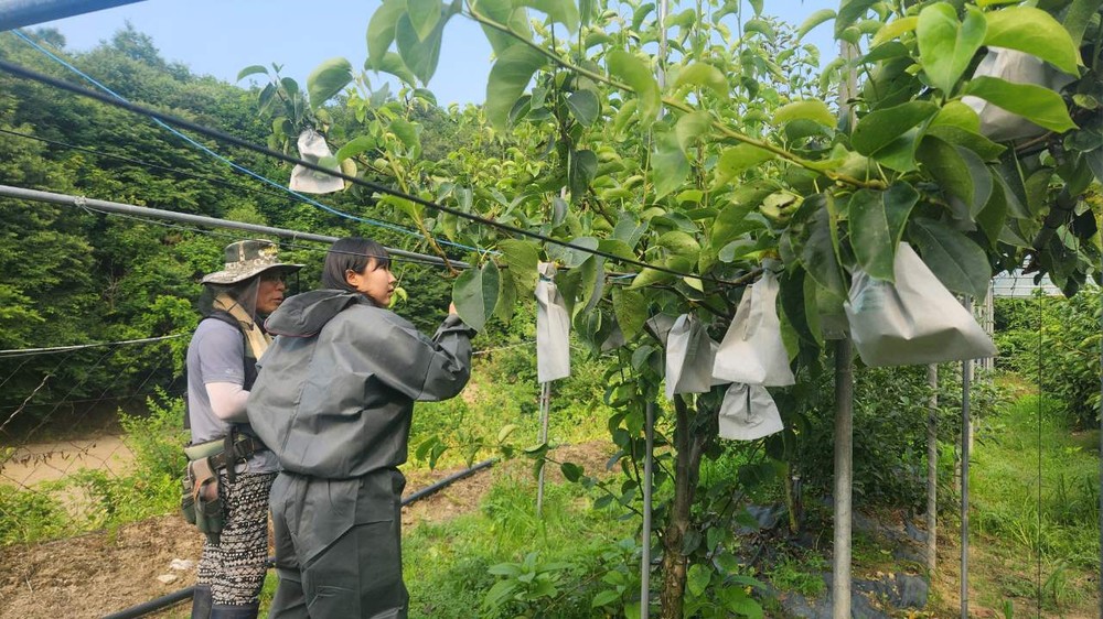 공주시, 봄철 영농종합상황실 운영…신속대응체계 가동