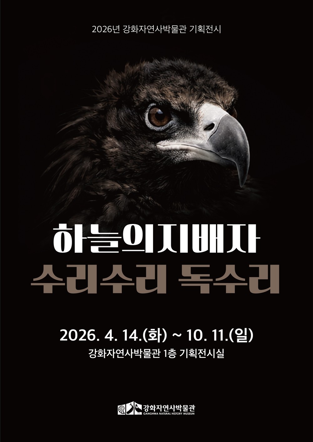강화자연사박물관, 강화도 하늘의 지배자 ‘독수리’ 전시로 만난다