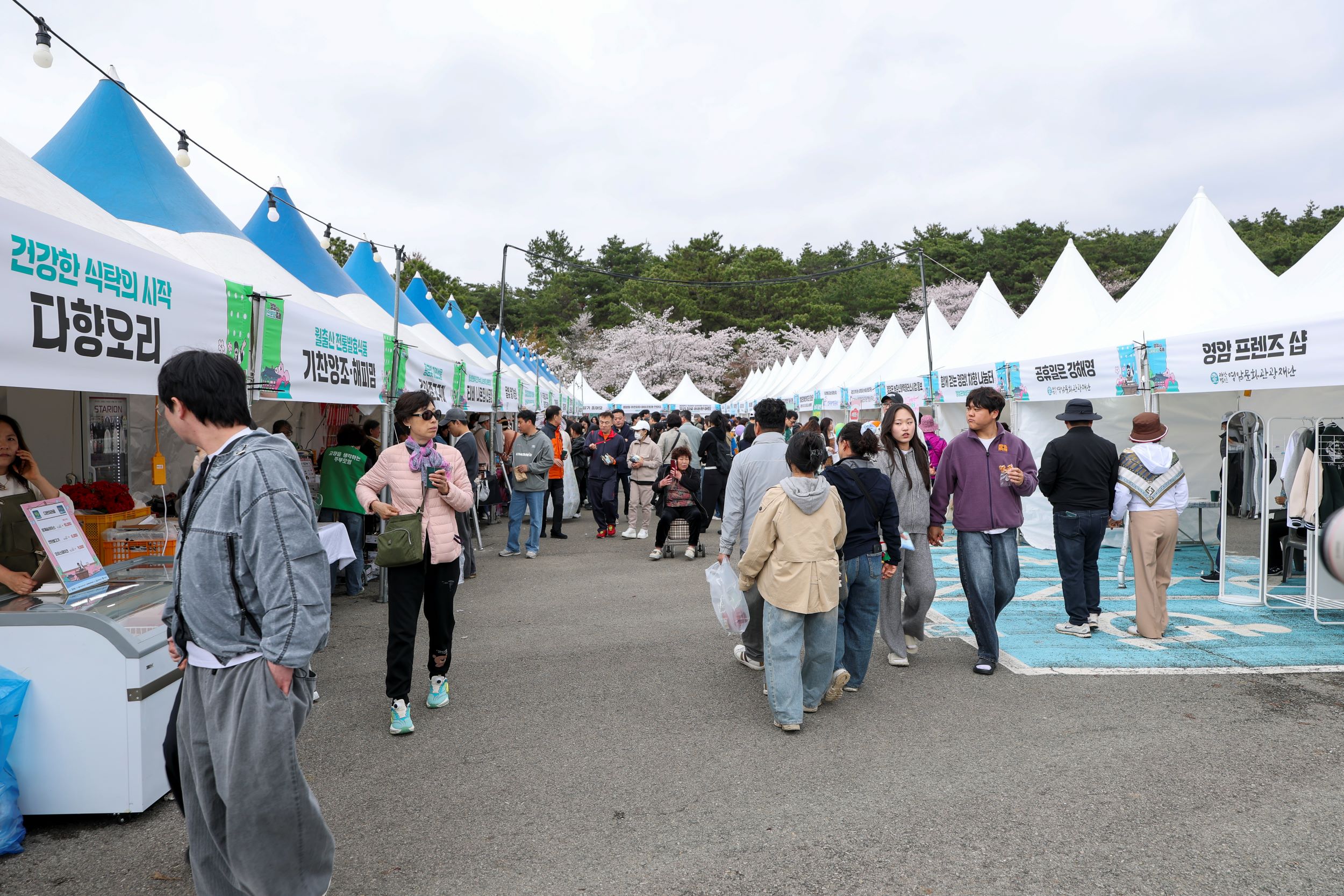 영암왕인문화축제, 지역순환경제 실현한 경제축제로 자리매김
