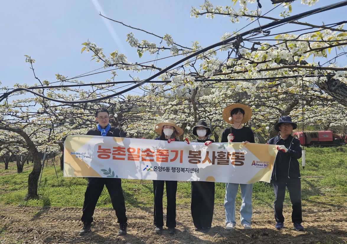 아산시 온양6동, 농번기 배 화접 일손 돕기 나서