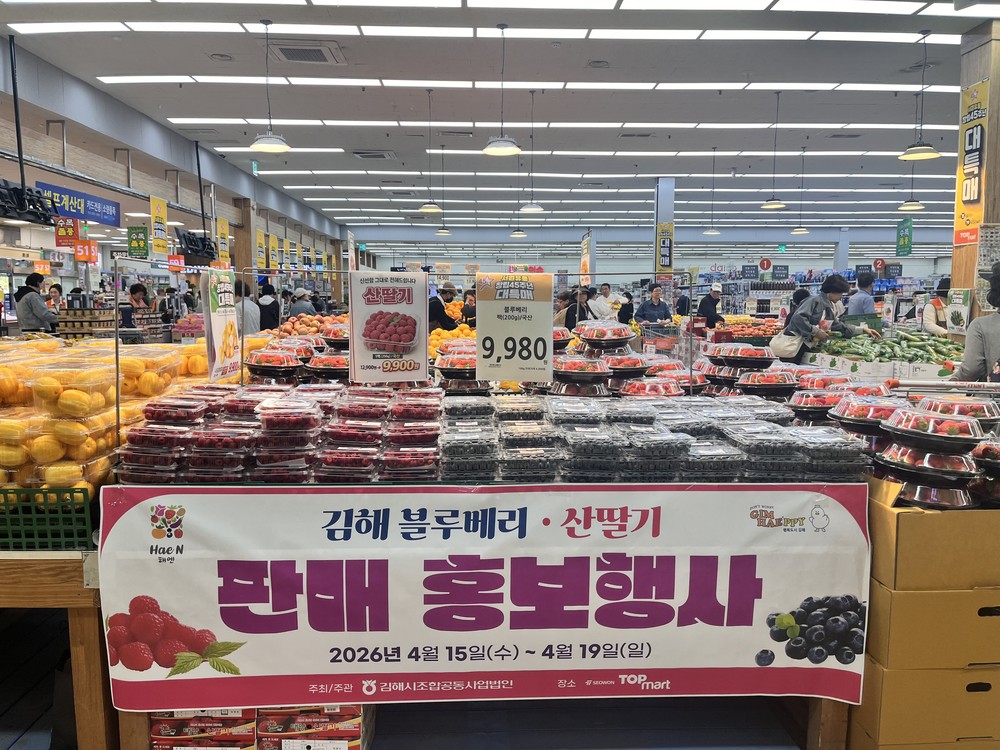김해 명품 블루베리·산딸기 만나보세요