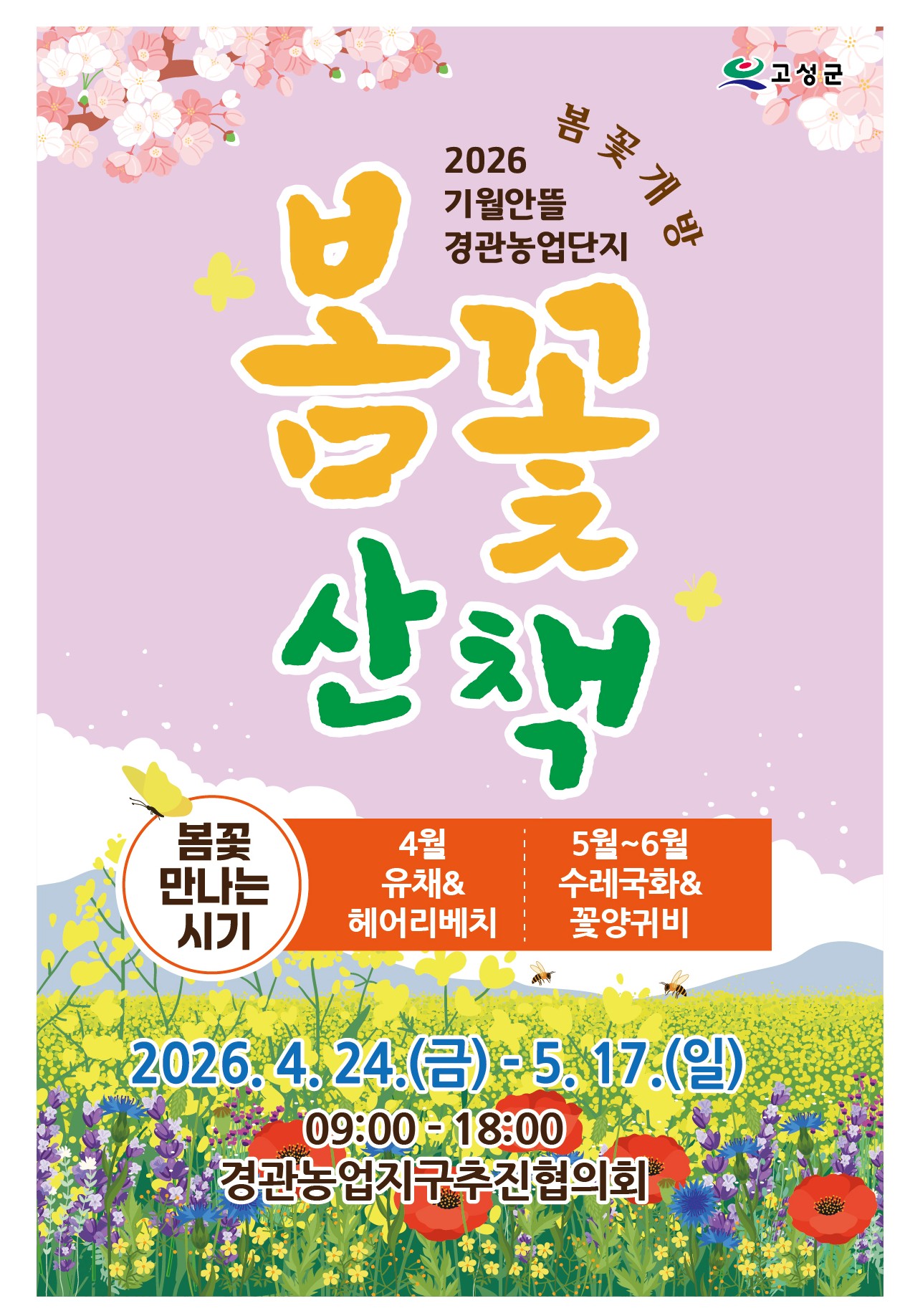 고성기월안뜰 경관농업 봄꽃 본격 개방