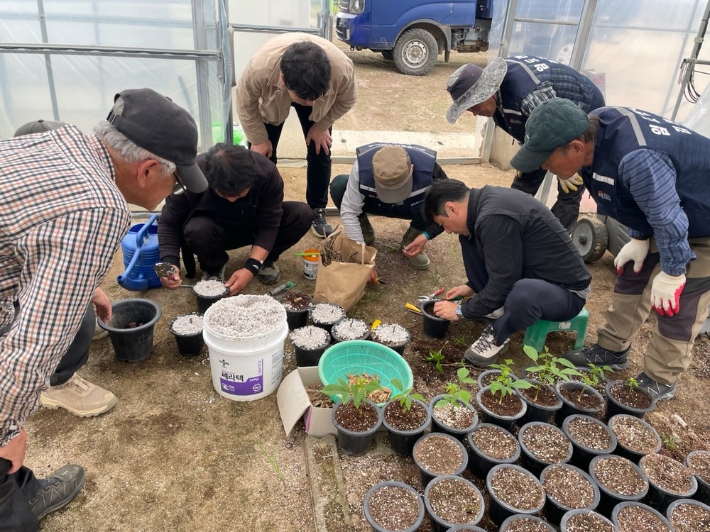 김천시, 호두나무 묘목 생산 기술 현장설명회 개최