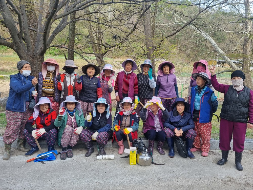 부항면 사등2리 부녀회, 새봄맞이 환경정화 활동