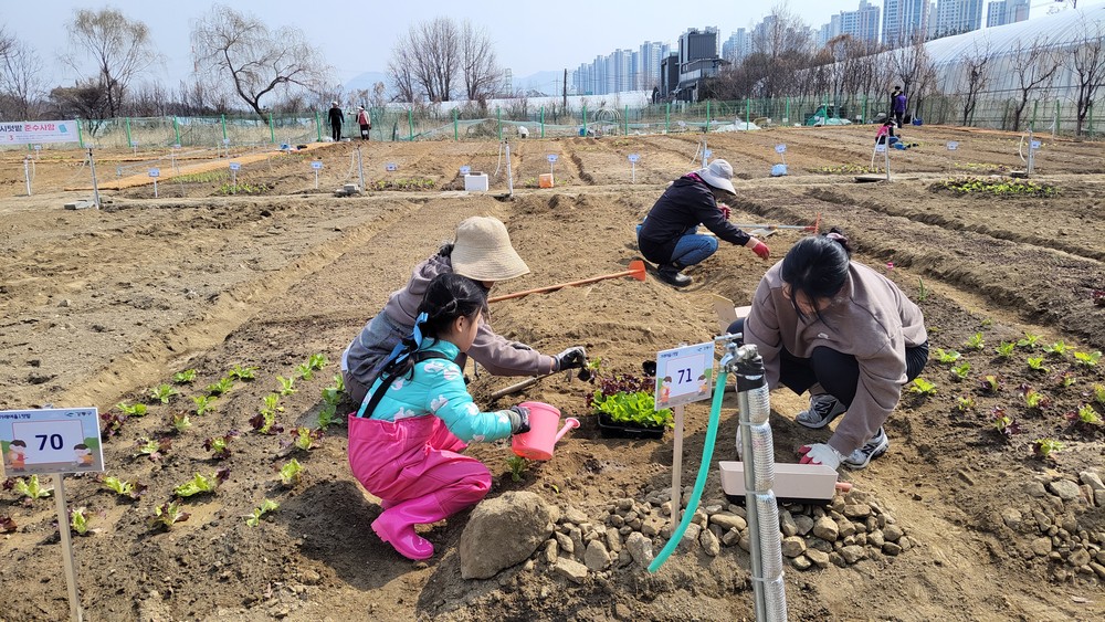강동구, 친환경 도시텃밭 4곳 동시 개장… 내 손으로 키우고, 한강도 지킨다