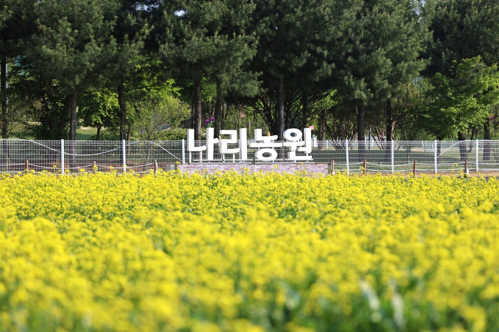 양주나리농원, 5월 9일부터 5월 17일까지 봄 무료 개장
