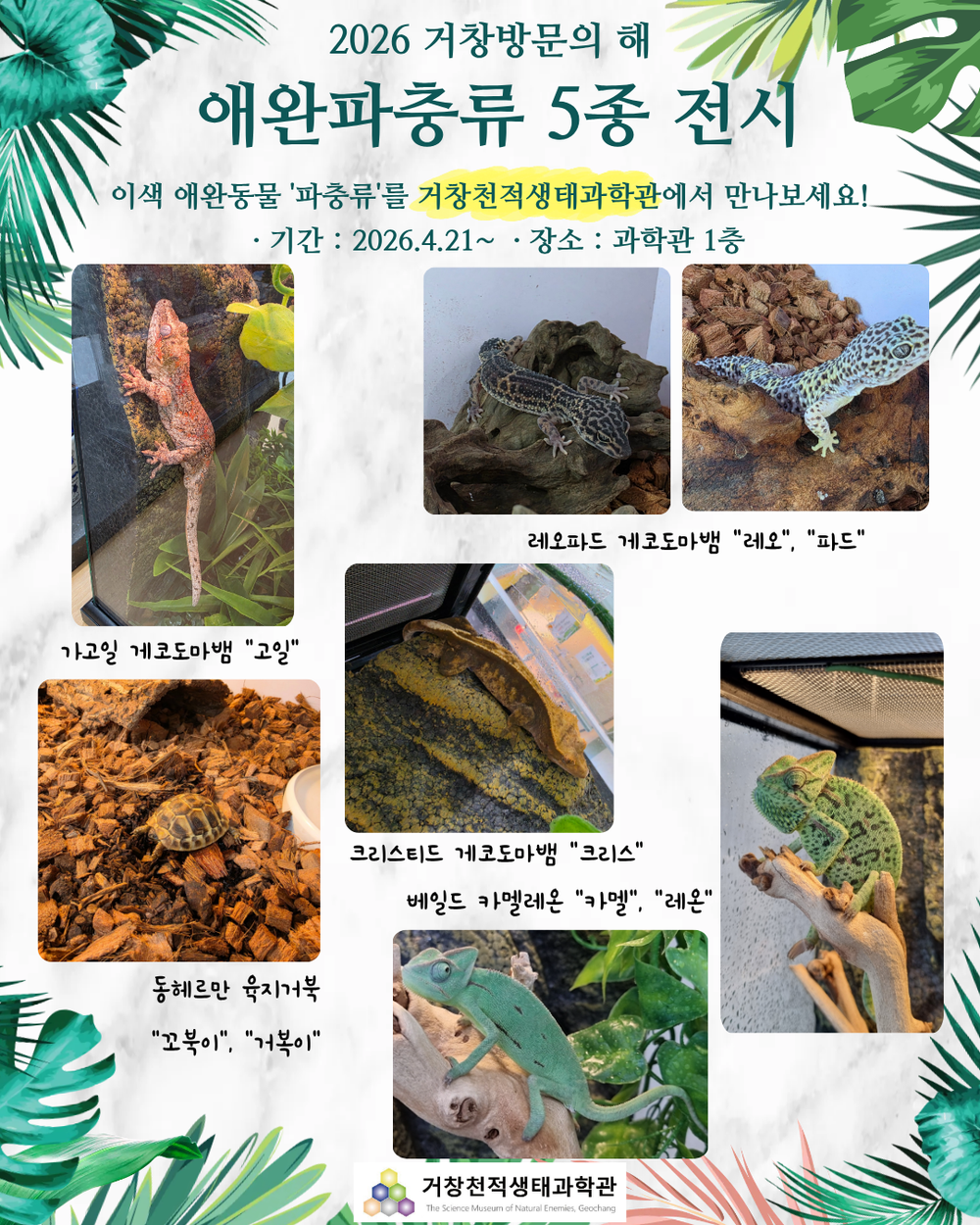 거창천적생태과학관, 이색 애완파충류 전시 개최