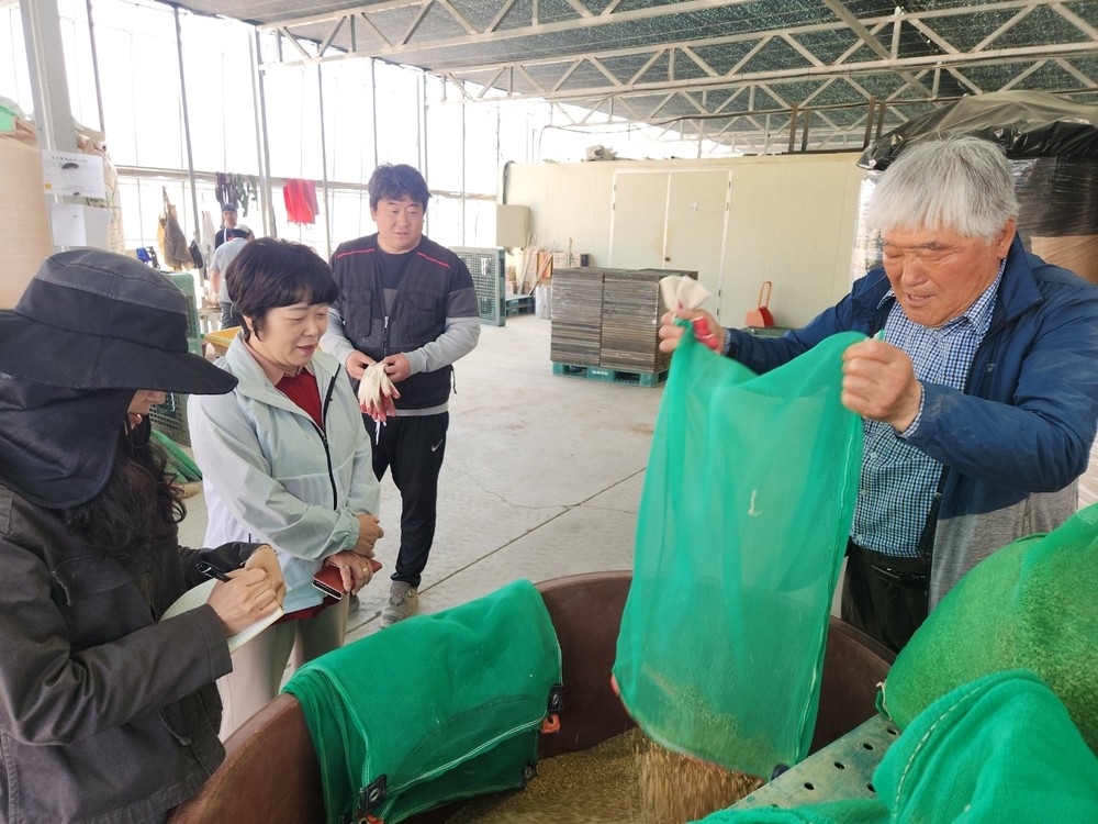 진천군, 벼 종자 발아율 저하 대응…못자리 관리 현장 지도 강화