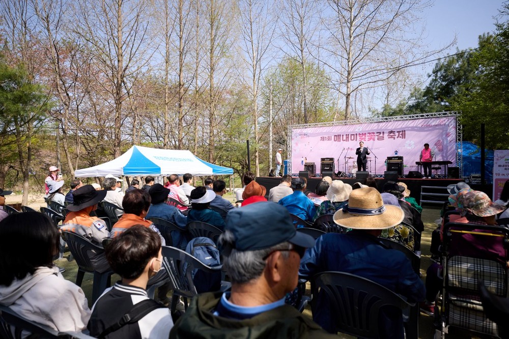 장흥면주민자치회, ‘제1회 매내미 벚꽃길 축제’ 개최