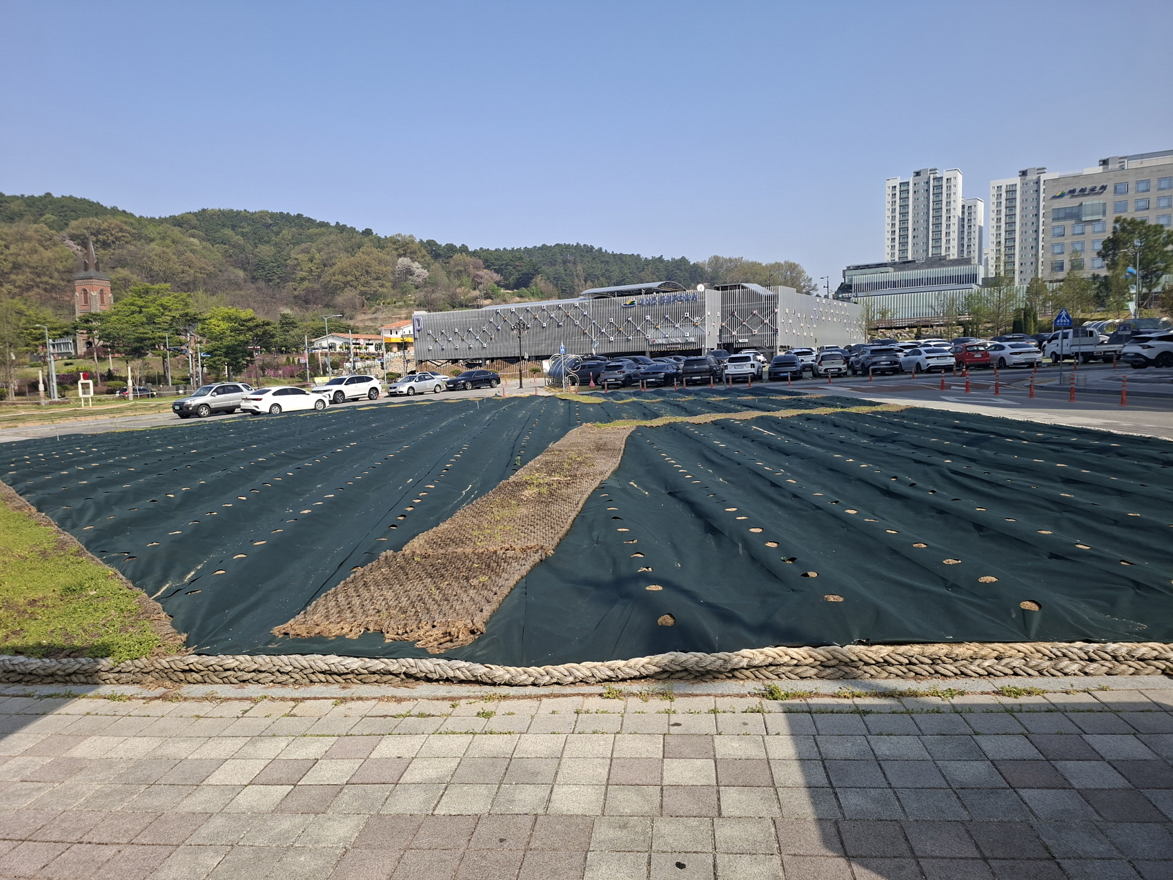 예산군, 비어있던 유휴지 ‘계절 꽃’으로 수놓는다!