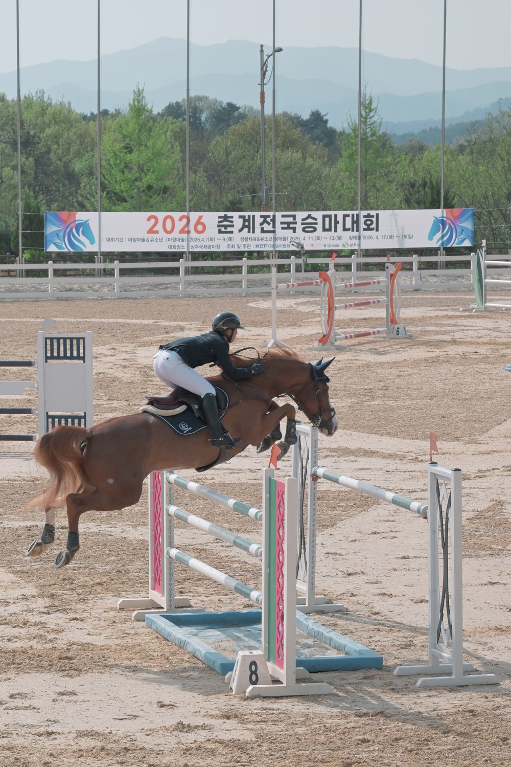 2026 춘계 전국승마대회 성료