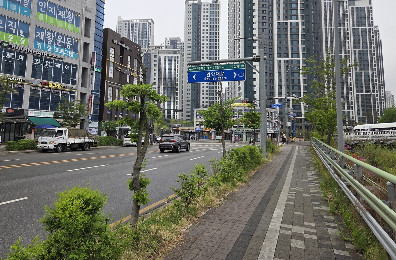 안양시, 안양천서로 가로수 개선 사업 추진