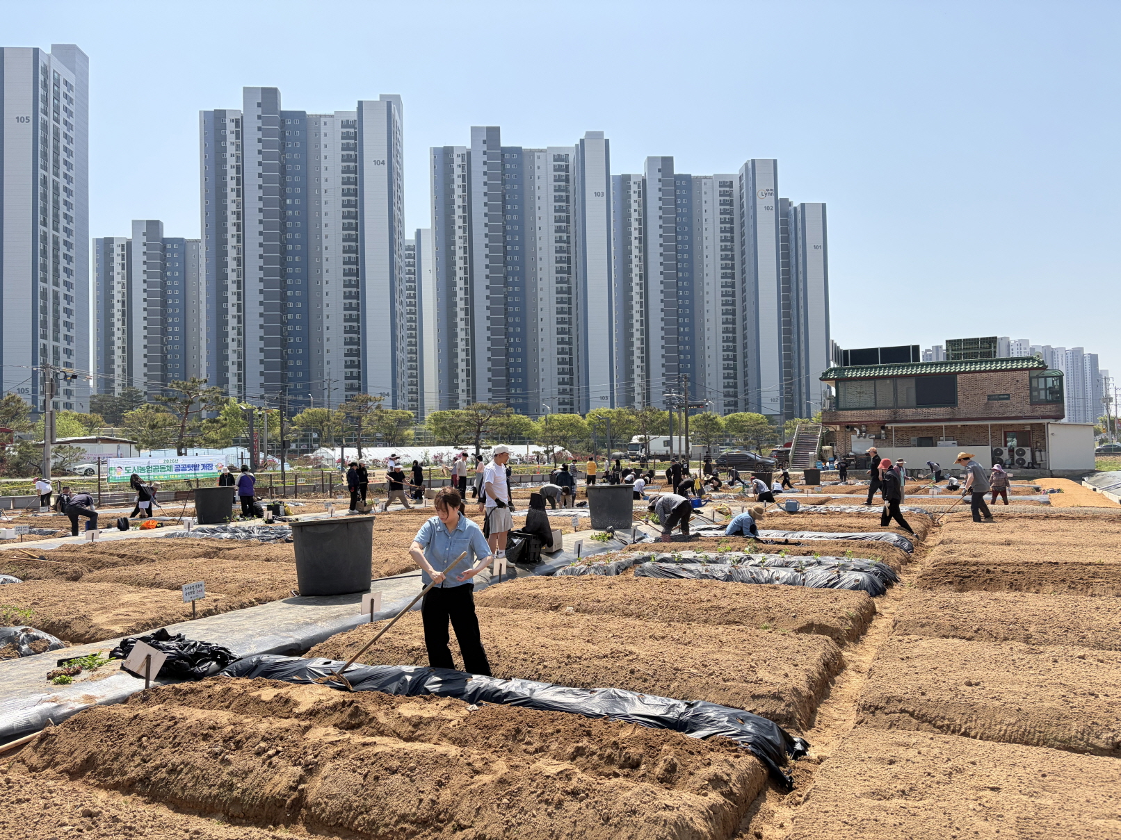 안성시, ‘2026년 공공텃밭’ 개장… 578가구 도시농부 활동 시작