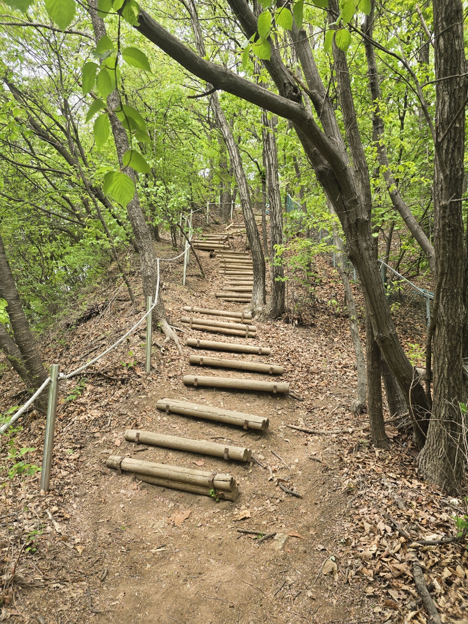 용인특례시 수지구, 손허산 등산로 정비 나서
