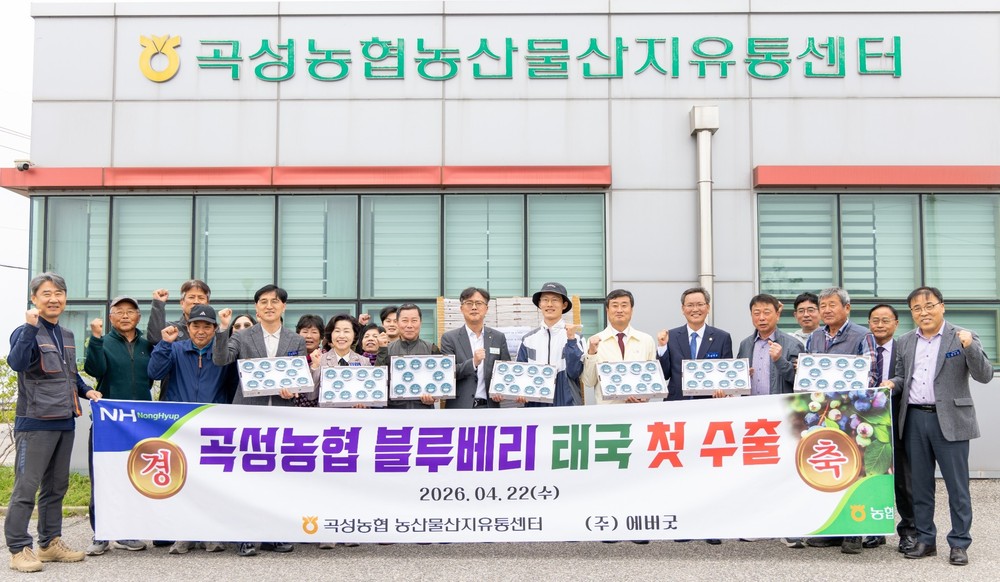 곡성 블루베리, 2026년 태국 첫 수출 “해외시장 진출 신호탄”
