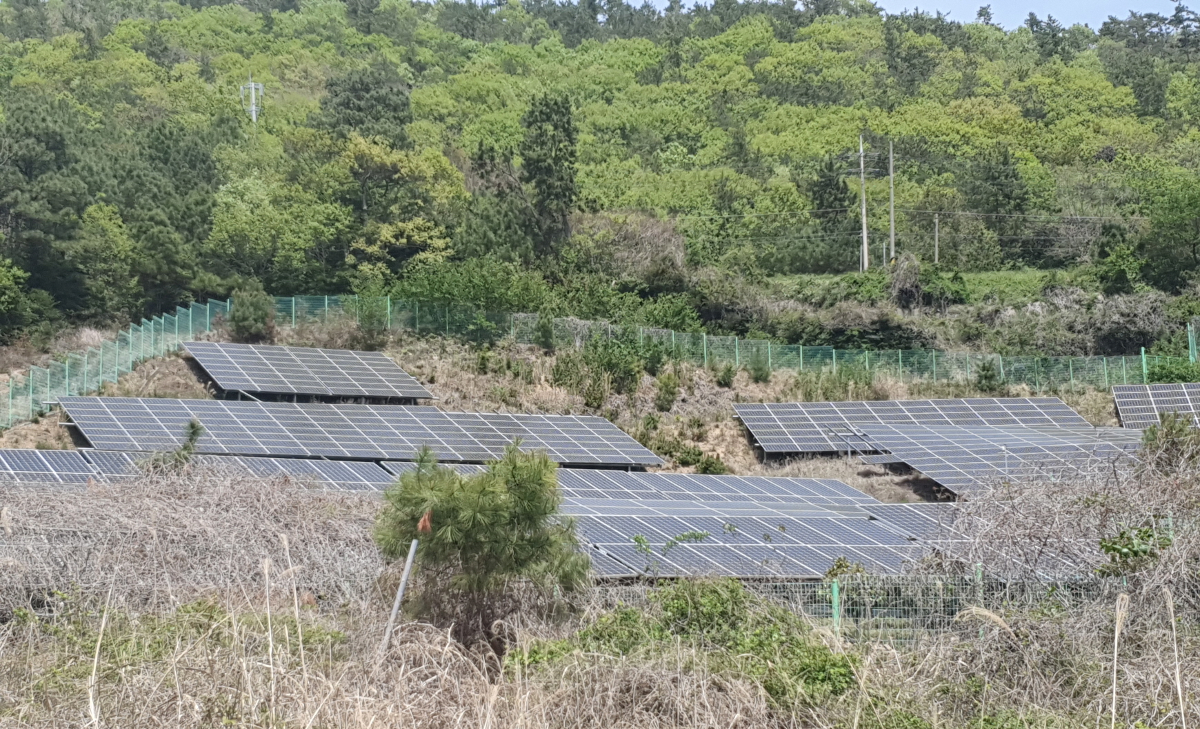 전남도, 우기철 대비 산지태양광 안전 강화