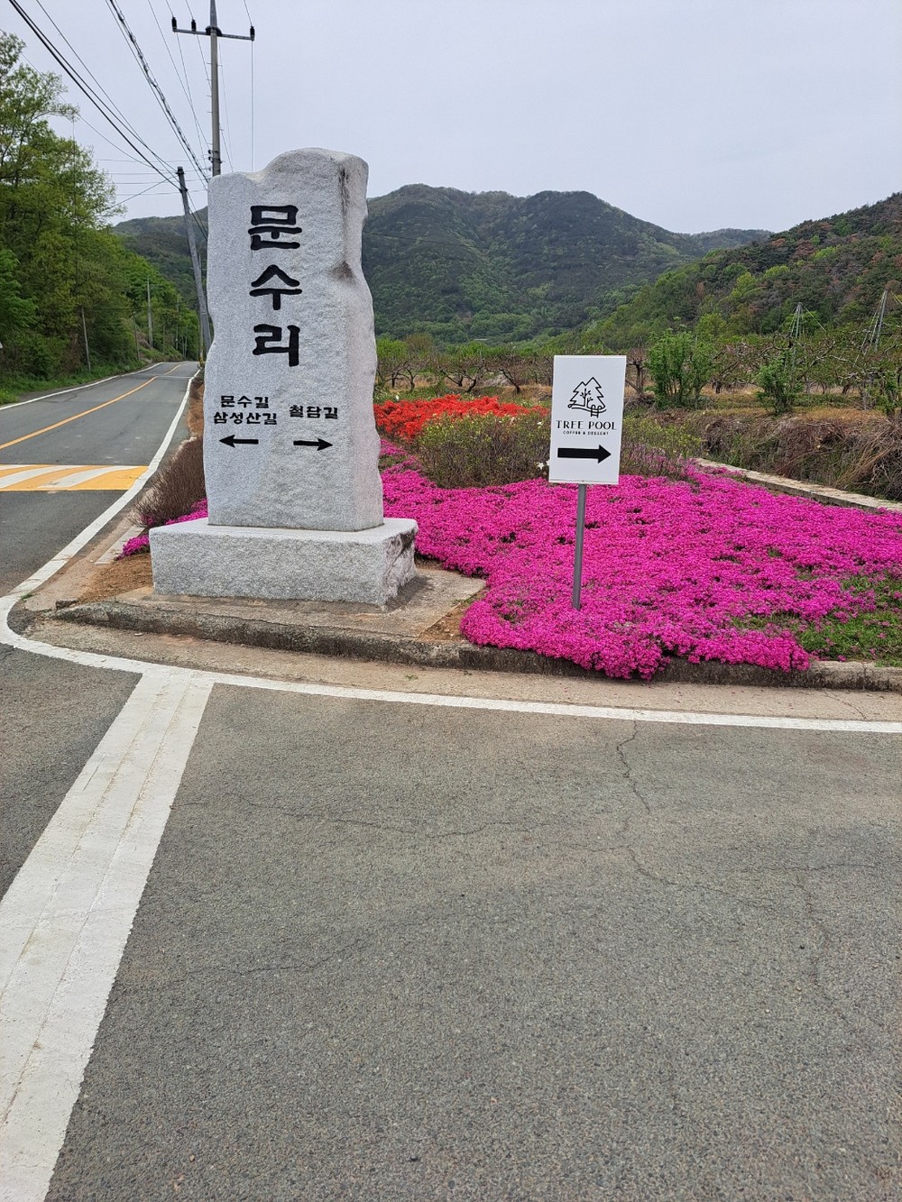이서면 문수리 마을 꽃길 조성 및 환경정화 활동