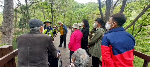청도군, 치매어르신 및 가족 대상 산림치유 프로그램 운영