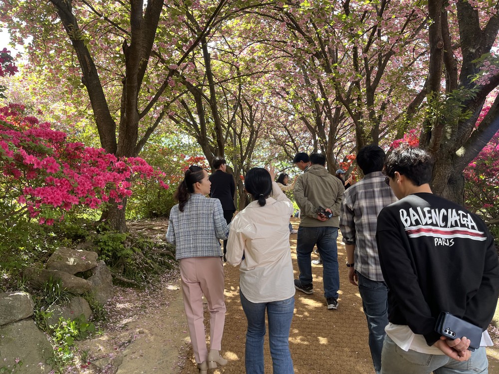 완산공원 꽃동산, 도심 속 봄 풍경 완성
