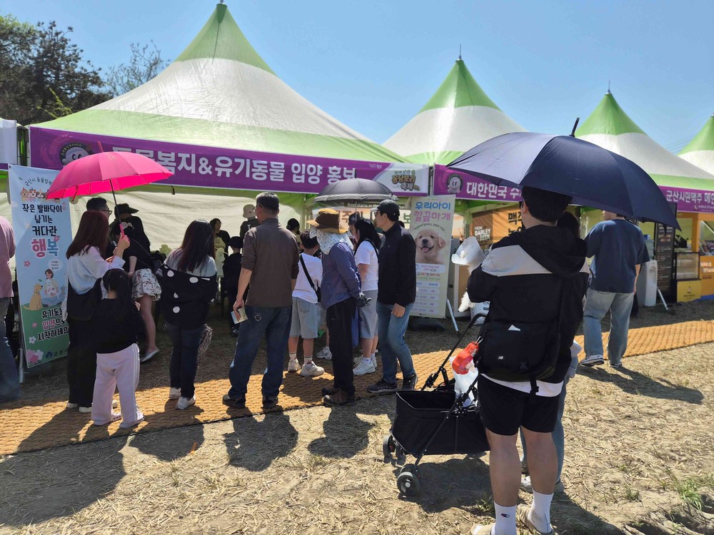 군산시, 꽁당보리축제서 체험형 반려동물 정책 홍보부스 운영 ‘호응’