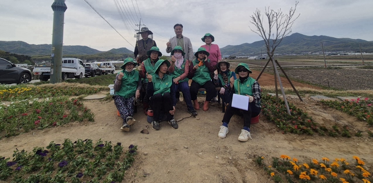선원면 새마을부녀회, 봄꽃 식재로 꽃길 조성
