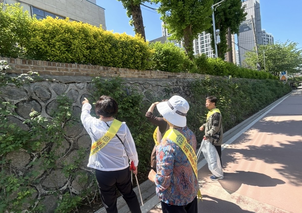 안암동, 성북천 일대 안전 점검 실시