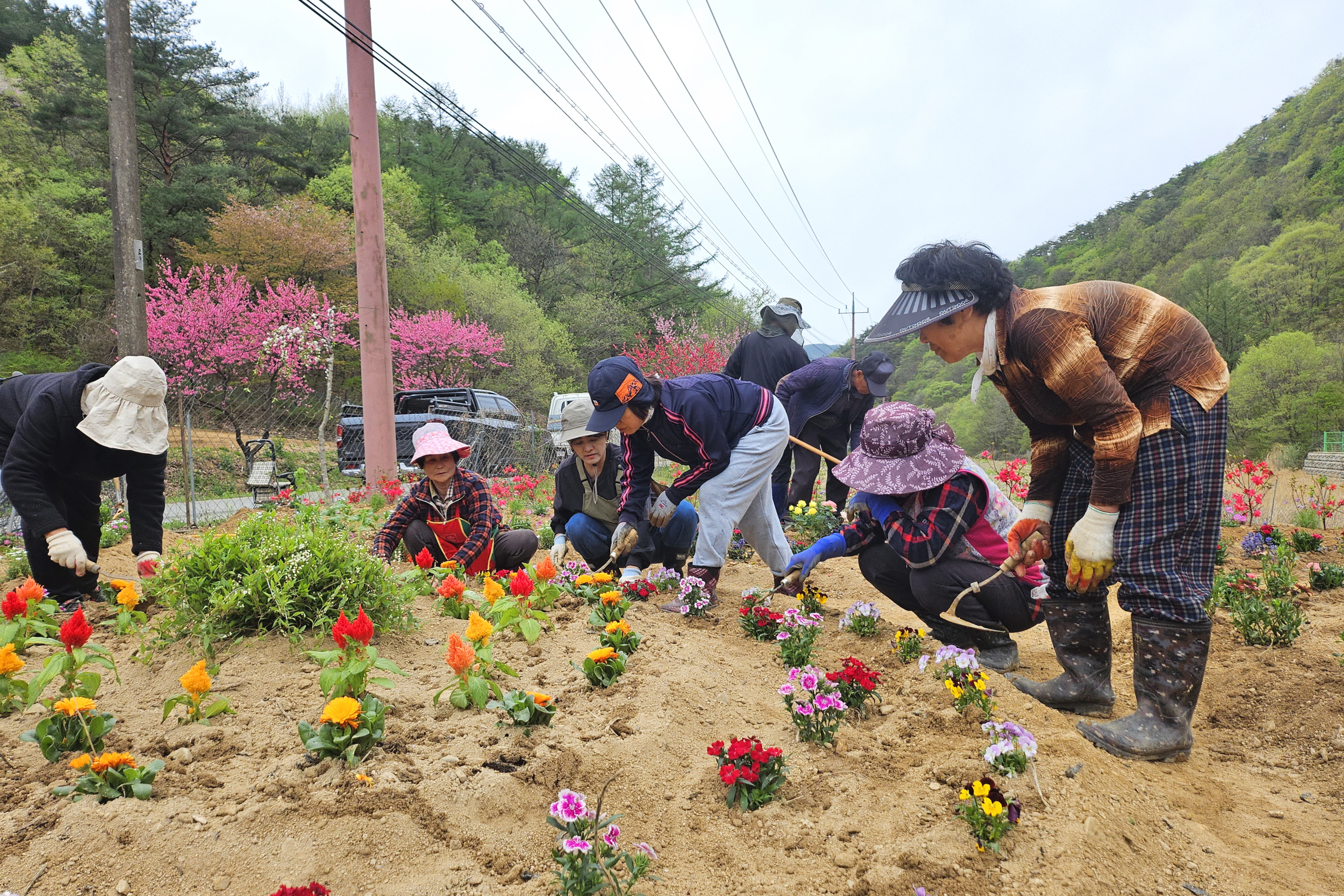 보은군 속리산면 도화리, 주민 손으로 꽃정원 조성…행복마을 사업 추진