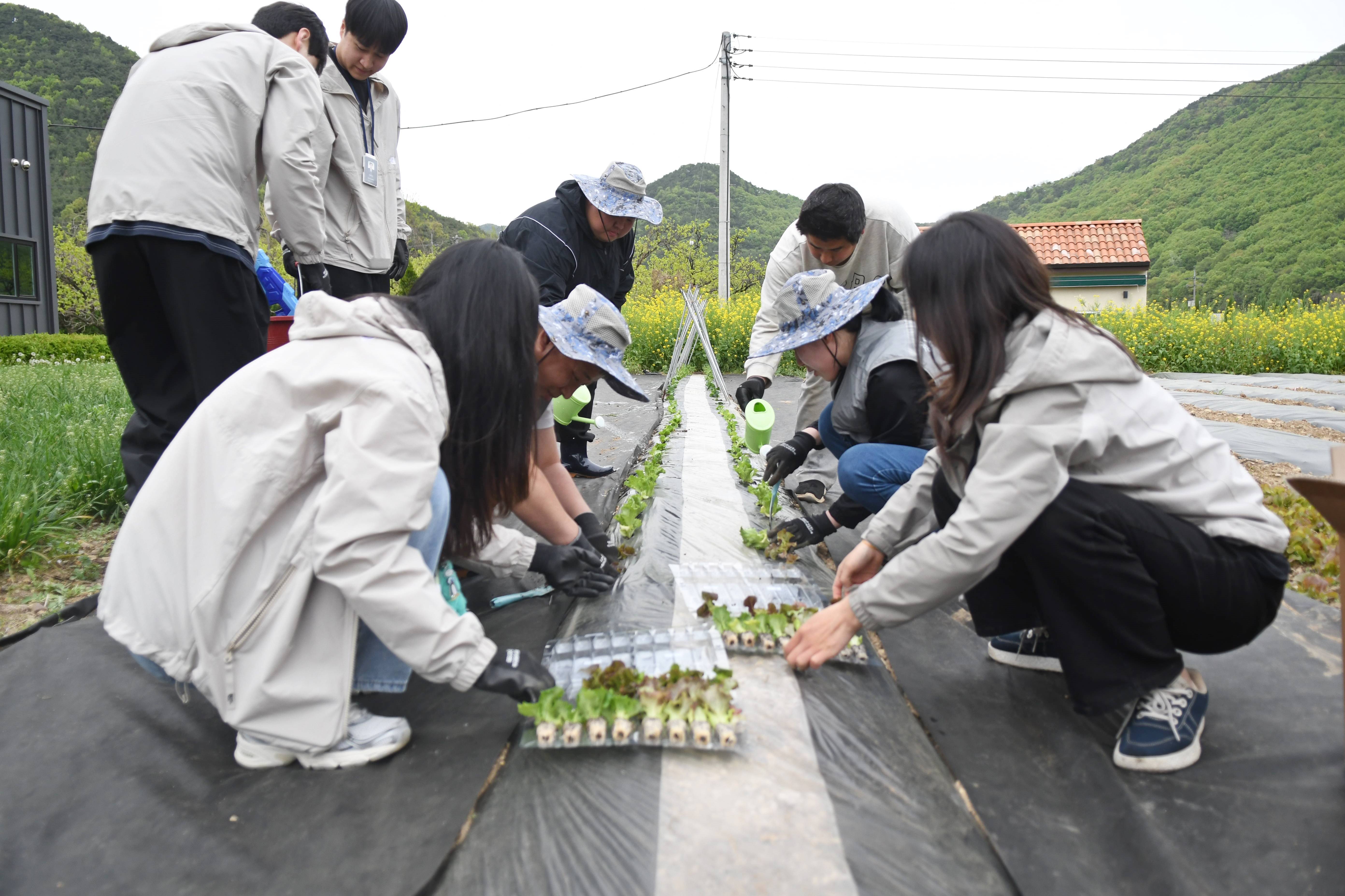 청도군정신건강복지센터‘도팜인(桃FARM人)’운영