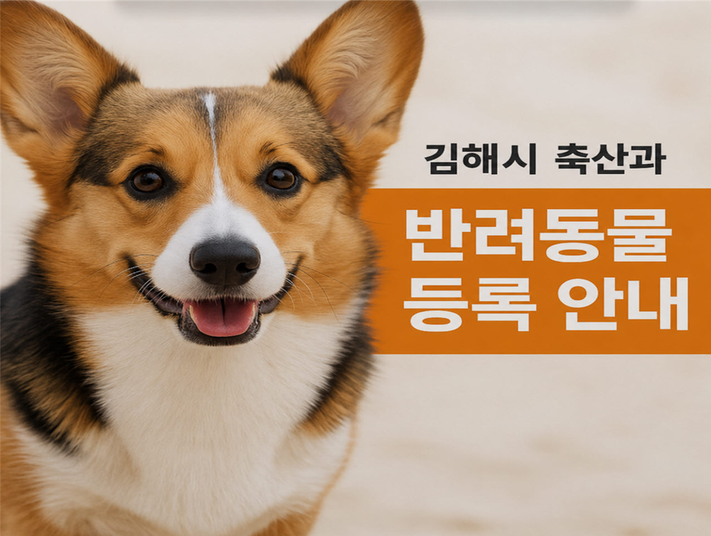 김해시, 동물등록률 제고 나선다