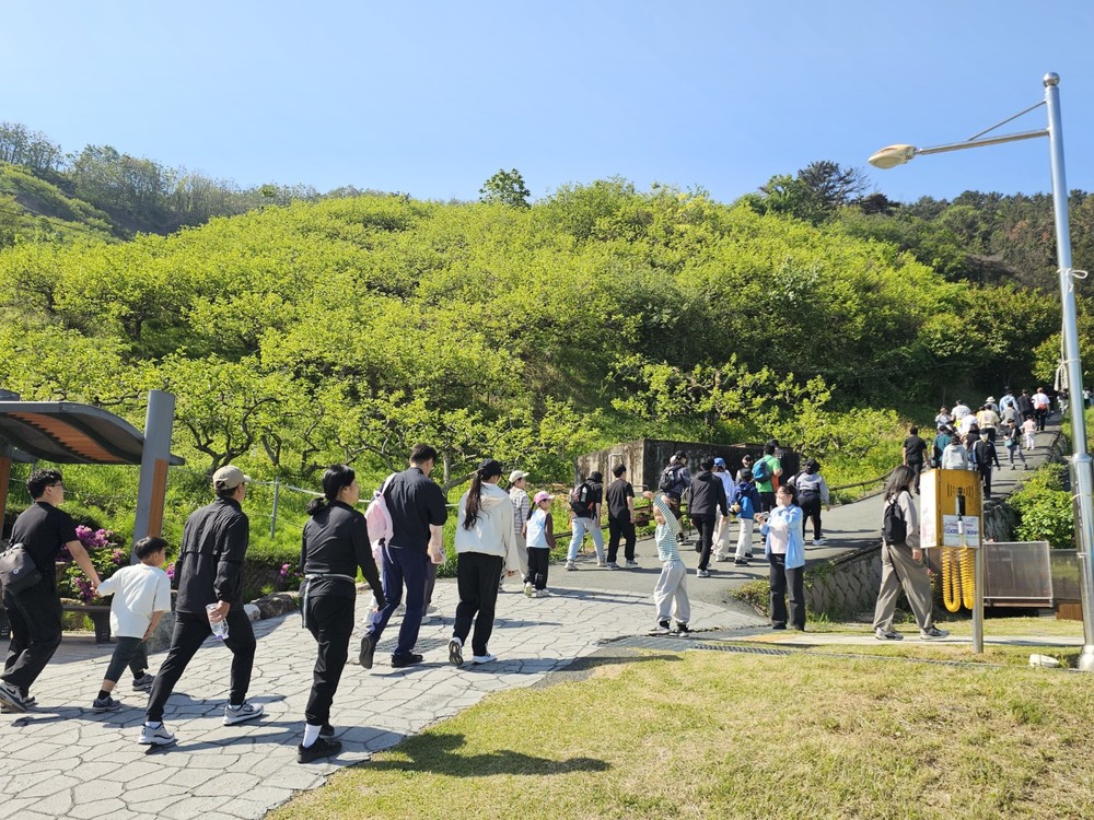 찬새내골-진영대흥초, ‘금병산 가족 등반대회’ 개최