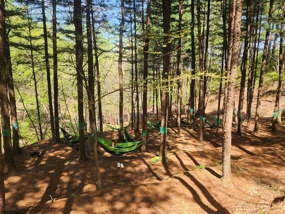 국립산림치유원, 경북도·영주시와 함께 산불 피해지역 주민 ‘마음 회복’ 돕는다