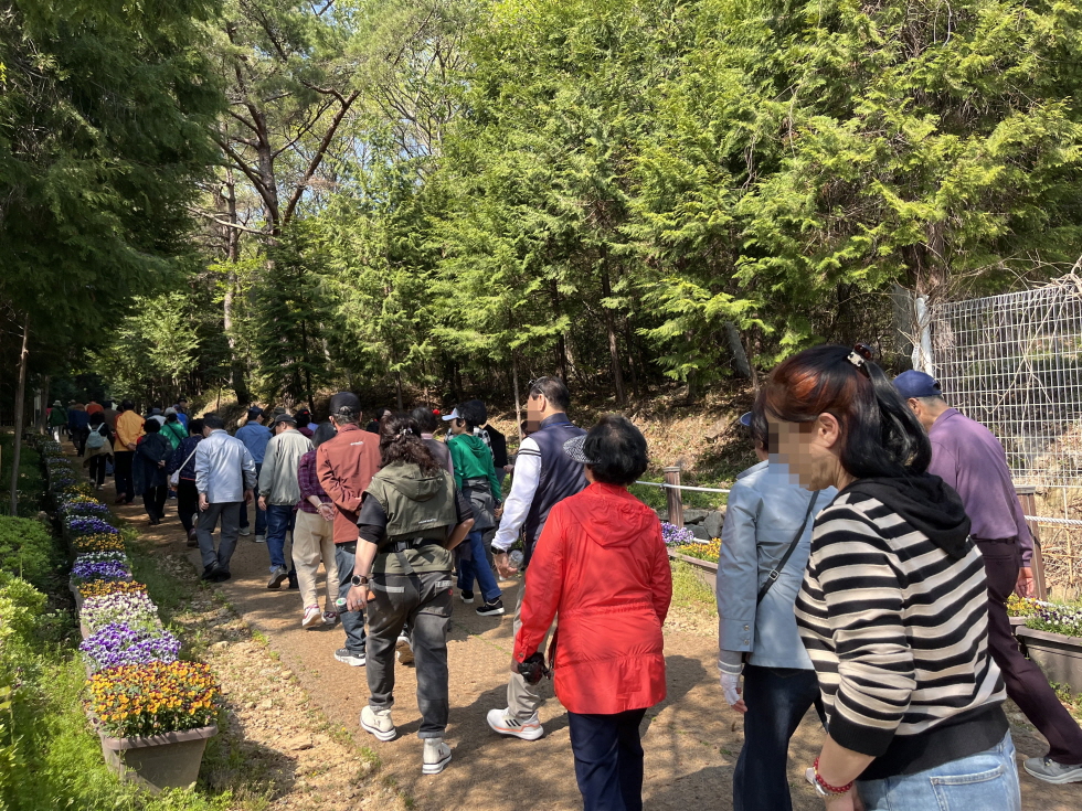 고흥 팔영산 편백 치유의 숲, 봄맞이 볼거리·즐길거리 대폭 확충