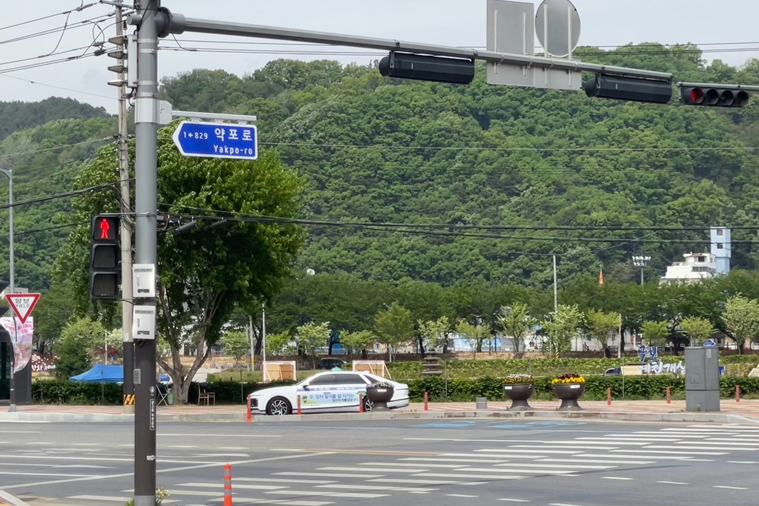 예천군, 웅비로 도로명 ‘약포로’로 변경