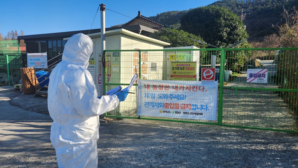 전남도, 조류인플루엔자 위기경보 ‘주의’로 하향