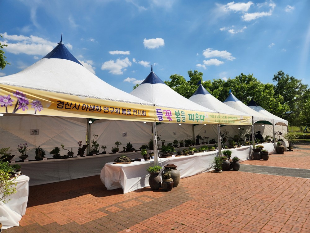 경산야생화연구회 “들꽃, 봄을 품다” 작품전시회 개최