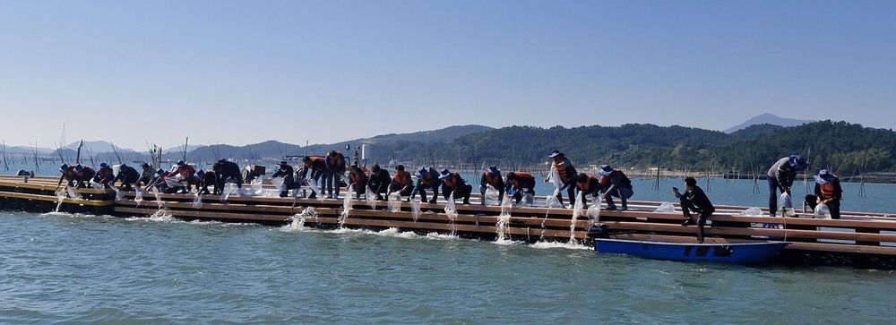 전남도, 수산종자 1천730만마리 방류로 어민소득 증대한다