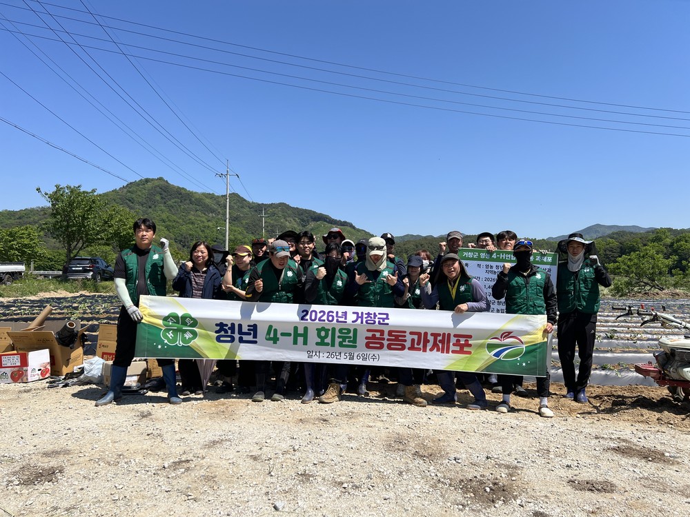 거창군 청년 4-H 연합회, 공동과제포 고구마 정식으로 2026년 영농활동 본격 시작