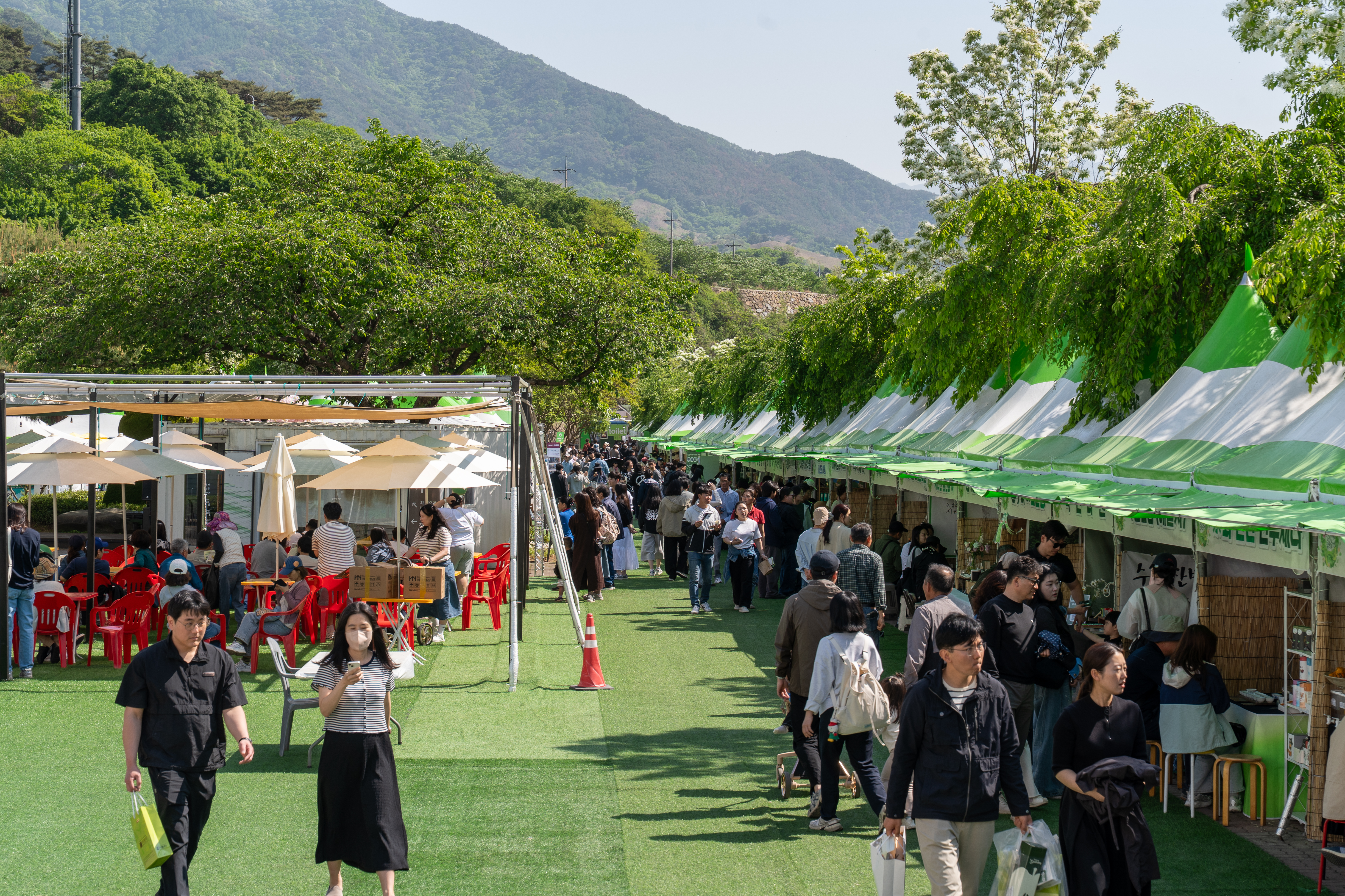 제29회 하동야생차문화축제, ‘차(茶)오르는 설렘’ 속 성황리 폐막