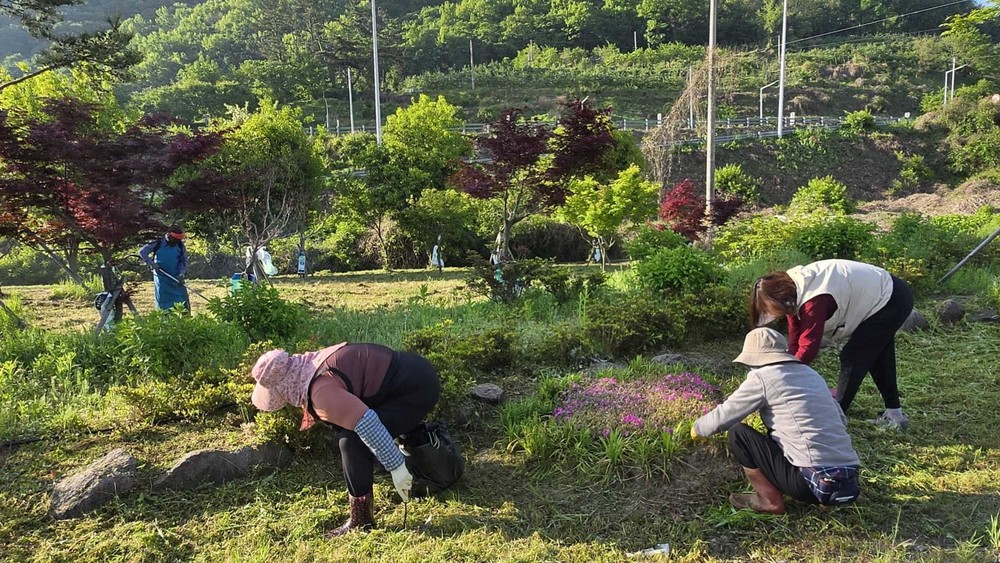 산내면 주민자치회, 가인교차로 단풍숲 풀베기 작업 실시